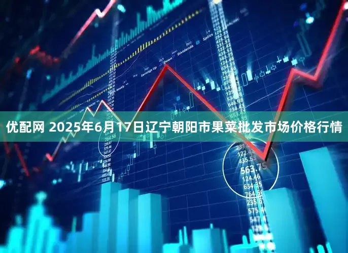 优配网 2025年6月17日辽宁朝阳市果菜批发市场价格行情