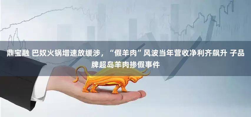 鼎宝融 巴奴火锅增速放缓涉，“假羊肉”风波当年营收净利齐飙升 子品牌超岛羊肉掺假事件