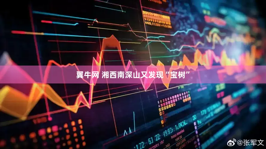翼牛网 湘西南深山又发现“宝树”