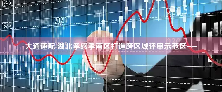 大通速配 湖北孝感孝南区打造跨区域评审示范区——