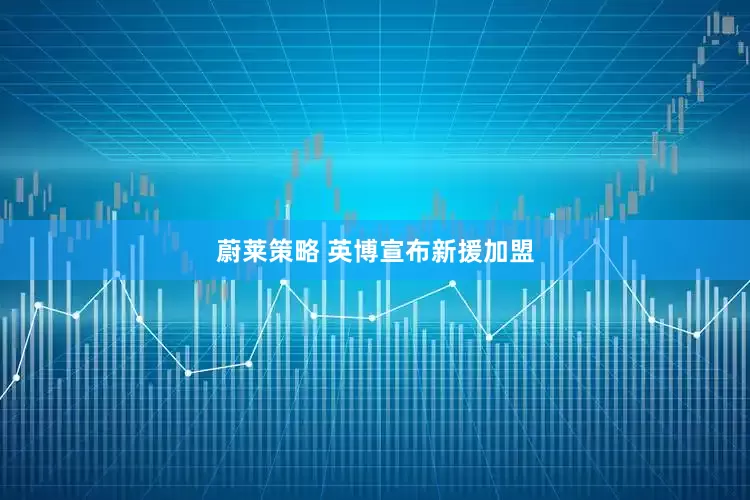 蔚莱策略 英博宣布新援加盟