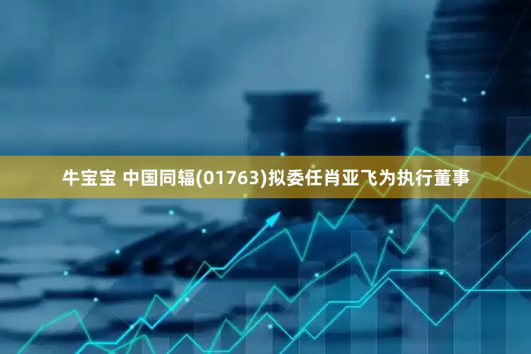 牛宝宝 中国同辐(01763)拟委任肖亚飞为执行董事