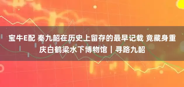 宝牛E配 秦九韶在历史上留存的最早记载 竟藏身重庆白鹤梁水下博物馆｜寻路九韶