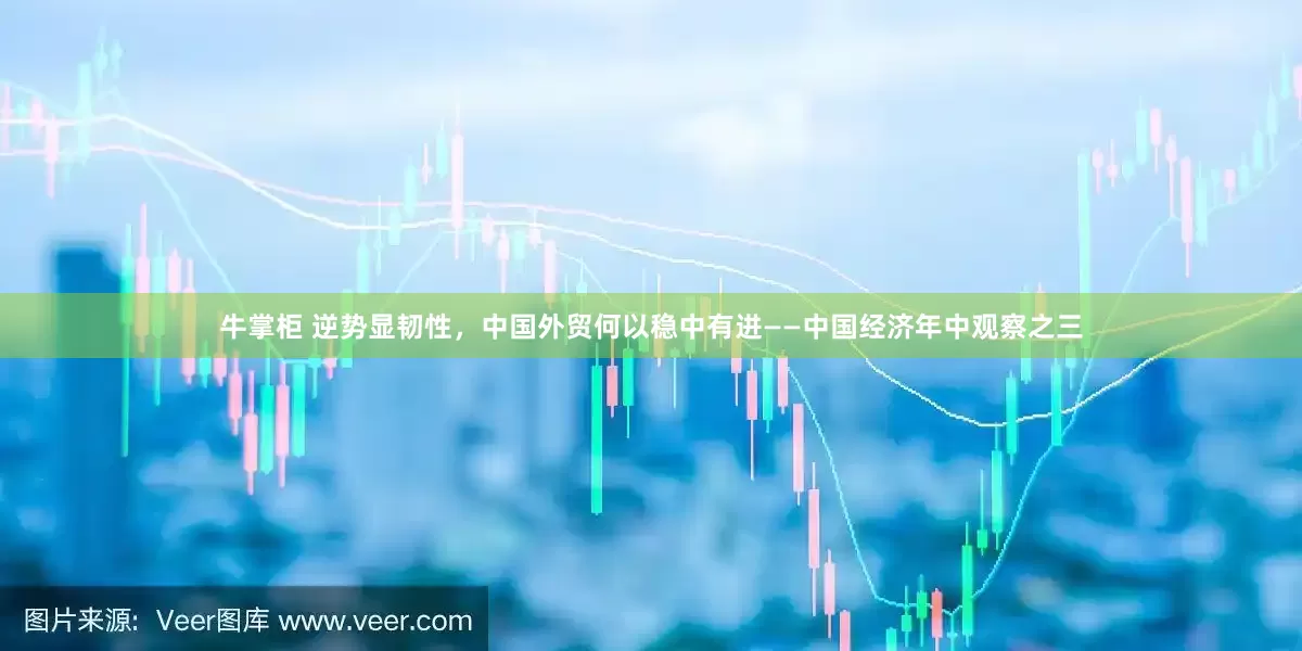 牛掌柜 逆势显韧性，中国外贸何以稳中有进——中国经济年中观察之三